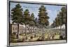 St James Palace and Park, London, Showing Formal Planting of Trees in Avenues, 1750-Jacques Rigaud-Mounted Giclee Print