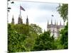 St James's Park with Flags Floating over the Rooftops of the Palace of Westminster - London-Philippe Hugonnard-Mounted Photographic Print