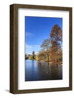 St. James's Park, with view across lake to Buckingham Palace, sunny late autumn, Whitehall, London,-Eleanor Scriven-Framed Photographic Print