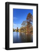 St. James's Park, with view across lake to Buckingham Palace, sunny late autumn, Whitehall, London,-Eleanor Scriven-Framed Photographic Print