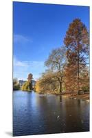 St. James's Park, with view across lake to Buckingham Palace, sunny late autumn, Whitehall, London,-Eleanor Scriven-Mounted Premium Photographic Print