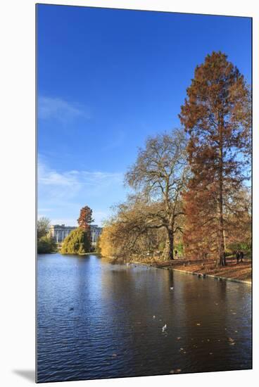 St. James's Park, with view across lake to Buckingham Palace, sunny late autumn, Whitehall, London,-Eleanor Scriven-Mounted Premium Photographic Print