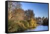 St. James's Park, with view across lake to Horse Guards, sunny late autumn, Whitehall, London, Engl-Eleanor Scriven-Framed Stretched Canvas