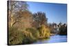 St. James's Park, with view across lake to Horse Guards, sunny late autumn, Whitehall, London, Engl-Eleanor Scriven-Stretched Canvas