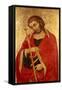 St. James the Great-Taddeo di Bartolo-Framed Stretched Canvas