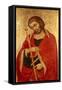 St. James the Great-Taddeo di Bartolo-Framed Stretched Canvas