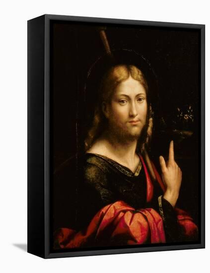 St. James the Greater-Benvenuto Tisi Da Garofalo-Framed Stretched Canvas