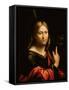 St. James the Greater-Benvenuto Tisi Da Garofalo-Framed Stretched Canvas