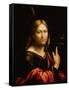 St. James the Greater-Benvenuto Tisi Da Garofalo-Framed Stretched Canvas