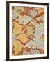 St James Wallpaper, Paper, England, 1881-William Morris-Framed Giclee Print