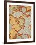 St James Wallpaper, Paper, England, 1881-William Morris-Framed Giclee Print