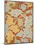 St James Wallpaper, Paper, England, 1881-William Morris-Mounted Giclee Print