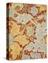 St James Wallpaper, Paper, England, 1881-William Morris-Stretched Canvas