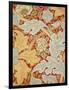 St James Wallpaper, Paper, England, 1881-William Morris-Framed Giclee Print