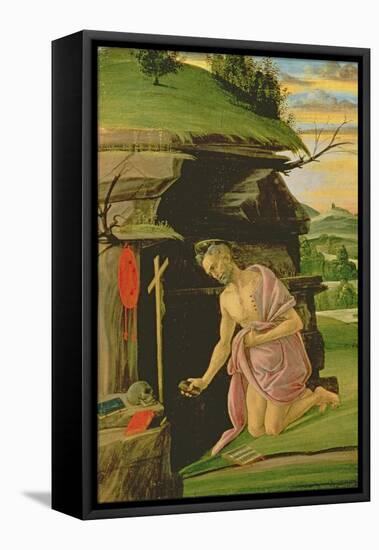 St. Jerome, 1490s-Sandro Botticelli-Framed Stretched Canvas