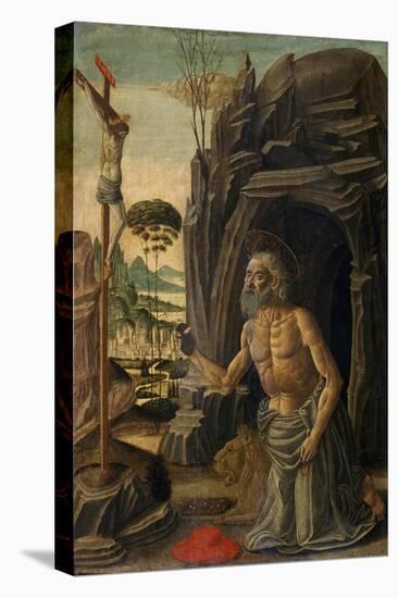 St. Jerome as a Penitent, C.1590-Jacopo Del Sellaio-Stretched Canvas