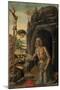 St. Jerome as a Penitent, C.1590-Jacopo Del Sellaio-Mounted Giclee Print