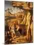 St. Jerome in the Desert, 1480-87-Giovanni Bellini-Mounted Giclee Print