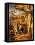 St. Jerome in the Desert, 1480-87-Giovanni Bellini-Framed Stretched Canvas