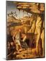 St. Jerome in the Desert, 1480-87-Giovanni Bellini-Mounted Giclee Print