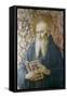 St Jerome, Mid 15th Century-Fra Angelico-Framed Stretched Canvas