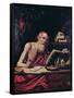 St. Jerome (Oil on Wood)-Flemish School-Framed Stretched Canvas