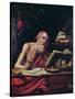 St. Jerome (Oil on Wood)-Flemish School-Stretched Canvas