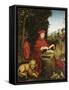 St. Jerome Reading-Lucas Cranach the Elder-Framed Stretched Canvas