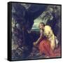 St. Jerome-Sir Anthony Van Dyck-Framed Stretched Canvas