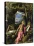 St. Jerome-Titian (Tiziano Vecelli)-Stretched Canvas