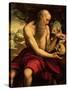 St. Jerome-Cesare Da Sesto-Stretched Canvas