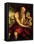 St. Jerome-Cesare Da Sesto-Framed Stretched Canvas