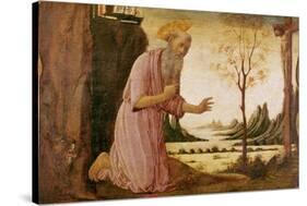 St. Jerome-Jacopo Del Sellaio-Stretched Canvas