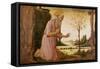 St. Jerome-Jacopo Del Sellaio-Framed Stretched Canvas