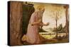 St. Jerome-Jacopo Del Sellaio-Stretched Canvas