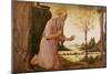 St. Jerome-Jacopo Del Sellaio-Mounted Giclee Print