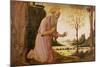 St. Jerome-Jacopo Del Sellaio-Mounted Giclee Print