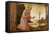 St. Jerome-Jacopo Del Sellaio-Framed Stretched Canvas