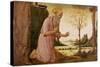 St. Jerome-Jacopo Del Sellaio-Stretched Canvas