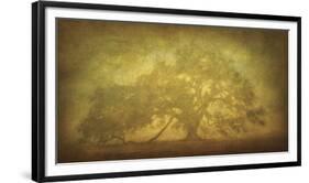 St. Joe Plantation Oak in Fog 3-William Guion-Framed Giclee Print