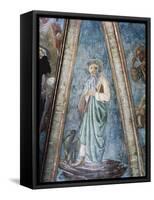 St John Evangelist, 1442-Andrea Del Castagno-Framed Stretched Canvas