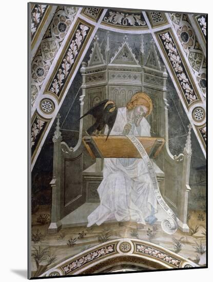 St John Evangelist-Giacomo Jaquerio-Mounted Giclee Print