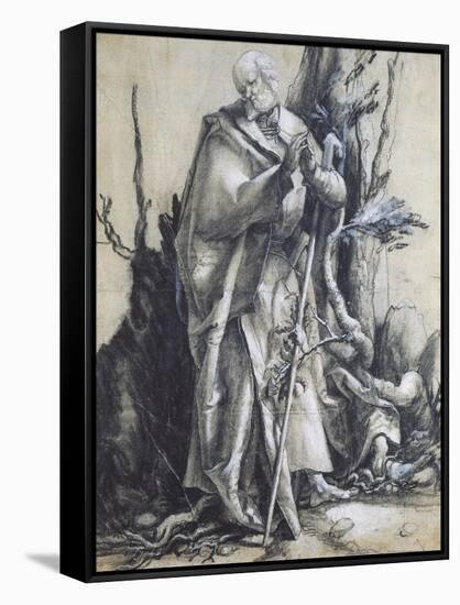 St John in the Forest-Matthias Grunewald-Framed Stretched Canvas