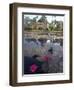 St. John Parish, Coddrington College, Barbados, Caribbean-Michele Westmorland-Framed Photographic Print