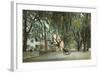 St. John's Avenue, Jacksonville, Florida-null-Framed Art Print