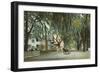 St. John's Avenue, Jacksonville, Florida-null-Framed Art Print