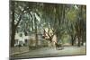 St. John's Avenue, Jacksonville, Florida-null-Mounted Art Print