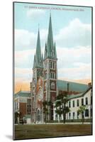 St. John's Cathedral, Indianapolis, Indiana-null-Mounted Art Print