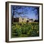 St. John's College, Cambridge, Cambridgeshire, England, UK-Geoff Renner-Framed Photographic Print