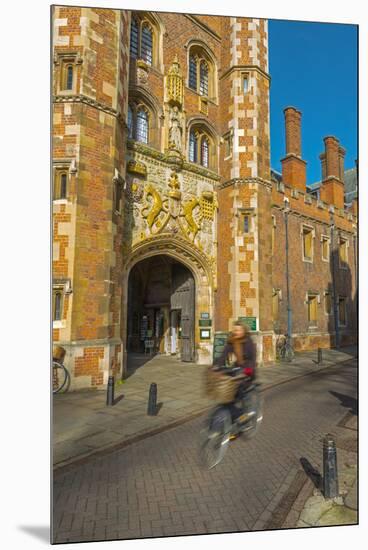 St. John's College Gate, Camrbridge University, Cambridge, Cambridgeshire, England-Alan Copson-Mounted Premium Photographic Print